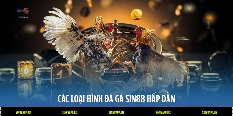 Các loại hình đá gà Sin88 hấp dẫn