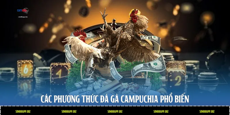 Các phương thức đá gà Campuchia phổ biến