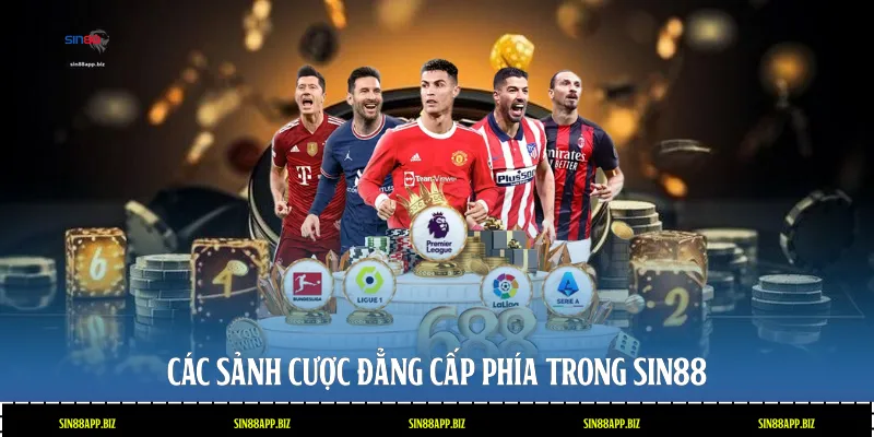 Các sảnh cược đẳng cấp phía trong Sin88