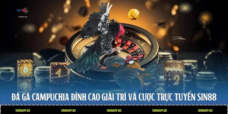 Đá Gà Campuchia: Đỉnh Cao Giải Trí Và Cược Trực Tuyến Sin88