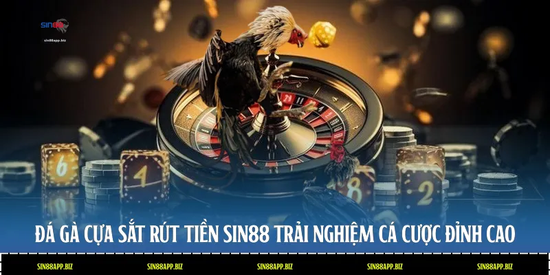 Đá Gà Cựa Sắt Rút Tiền Sin88 - Trải Nghiệm Cá Cược Đỉnh Cao