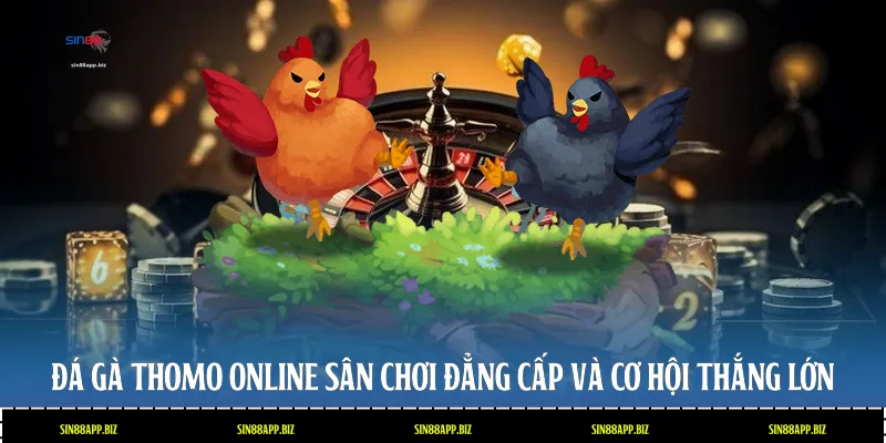Đá Gà Thomo Online: Sân Chơi Đẳng Cấp Và Cơ Hội Thắng Lớn