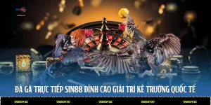Đá Gà Trực Tiếp Sin88 - Đỉnh Cao Giải Trí Kê Trường Quốc Tế