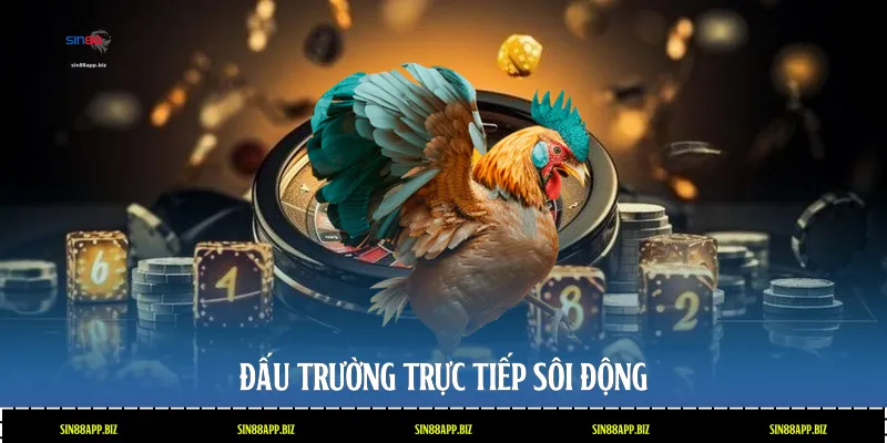 Đấu trường trực tiếp sôi động