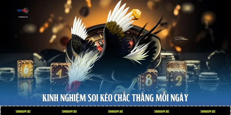Kinh nghiệm soi kèo chắc thắng mỗi ngày