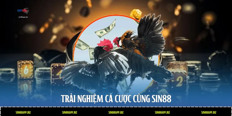 Trải nghiệm cá cược cùng Sin88
